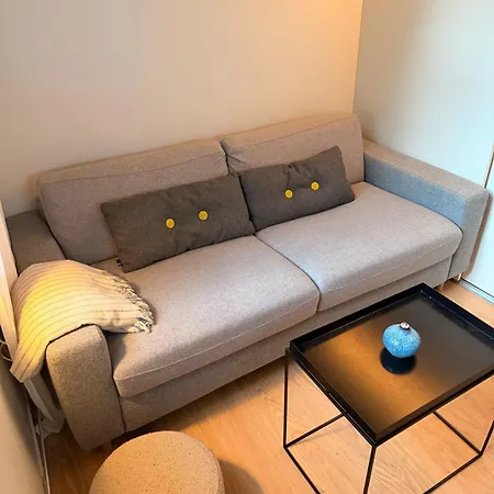 Urban Retreat In The Heart Of Oslo! Апартаменты Осло